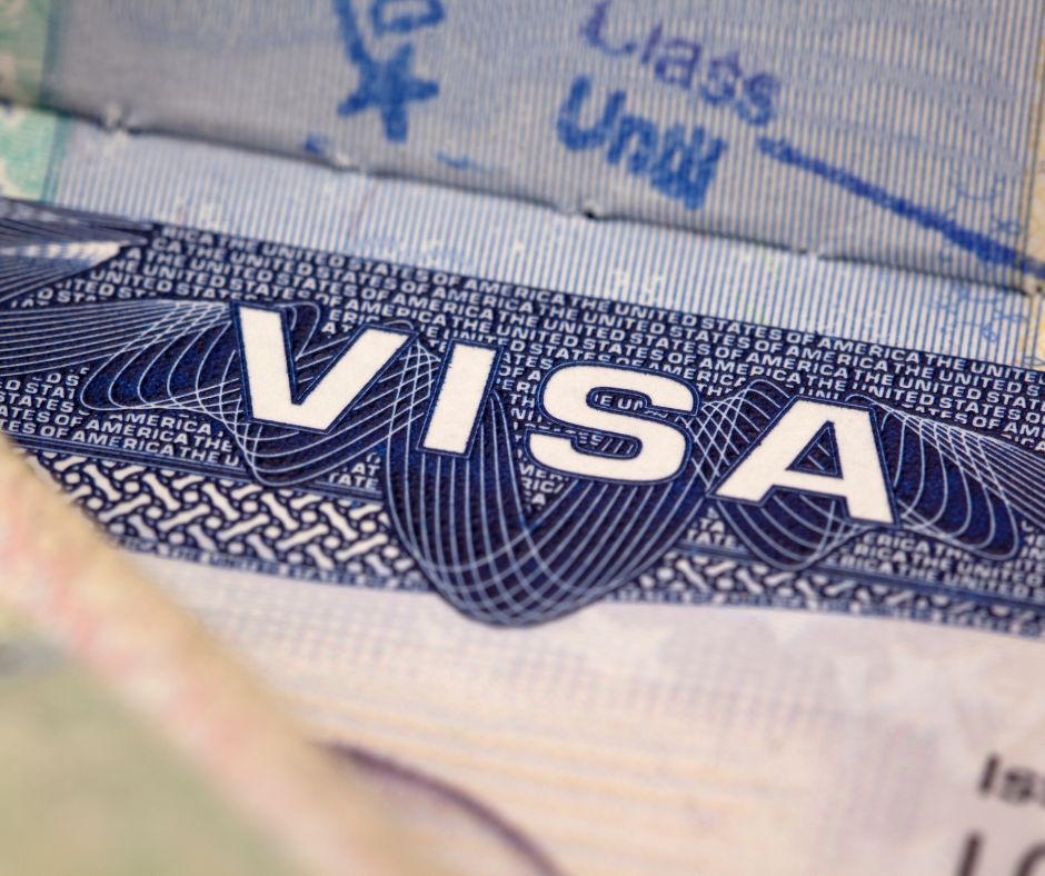 Step-by-Step Guide: How to Determine the Right Visa Category for Your Migration